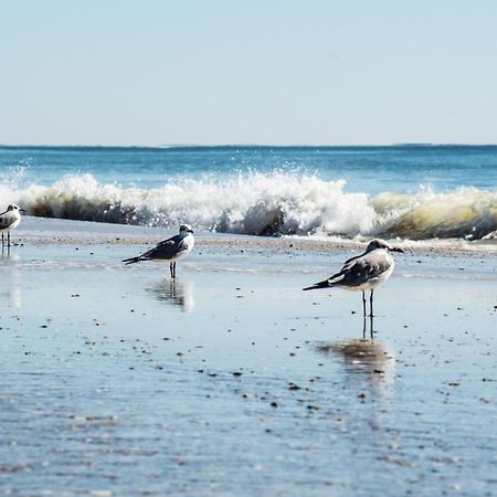Direct Gulf Views With Deeded Beach Access กัลฟ์ชอร์ส ภายนอก รูปภาพ