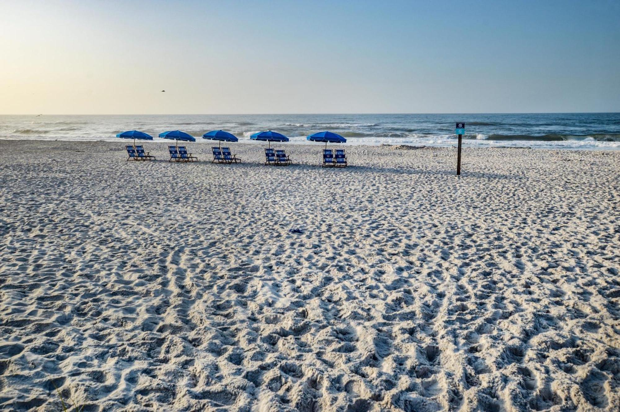 Direct Gulf Views With Deeded Beach Access กัลฟ์ชอร์ส ภายนอก รูปภาพ